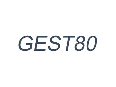 GEST80 VICTORY ESR-德國葛利茲GEST80特殊性質_物理性質_力學性能