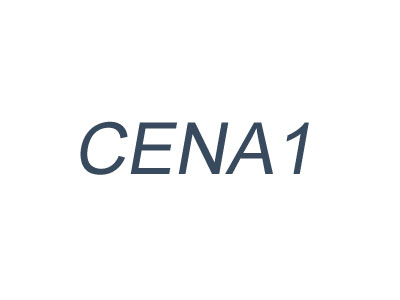 日本日立CENA1 – 東莞弘超廠家直銷日本日立CENA1 提供原廠材質證明